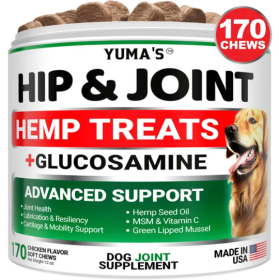 Hemp Hip And Joint Supplement For Dogs Glucosamine For Dogs Joint Pain Relief With MSM Advanced Dog Joint Supplement Health Glucosamine For Dogs Chews