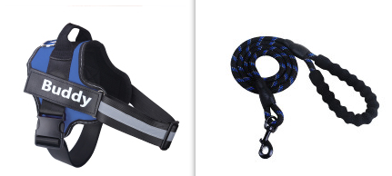 Fashion Simple Pet Leash Chest Strap Set (Option: Blue-M)