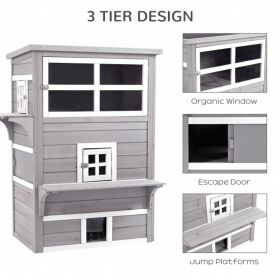 Cat House (Option: 92729560)